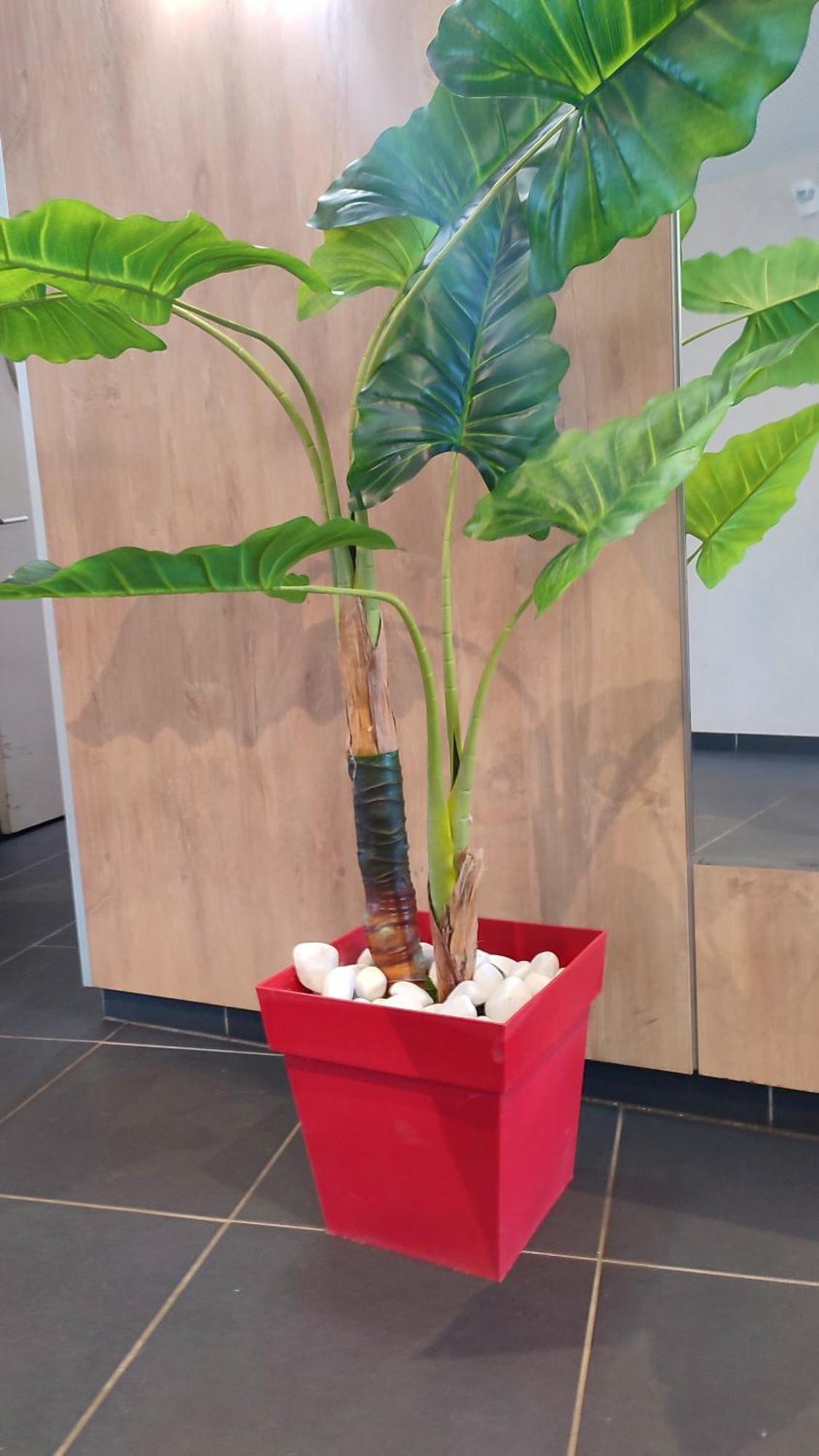 Apartment Escal'home , Design Au Pied De L'aeroport,parkings *